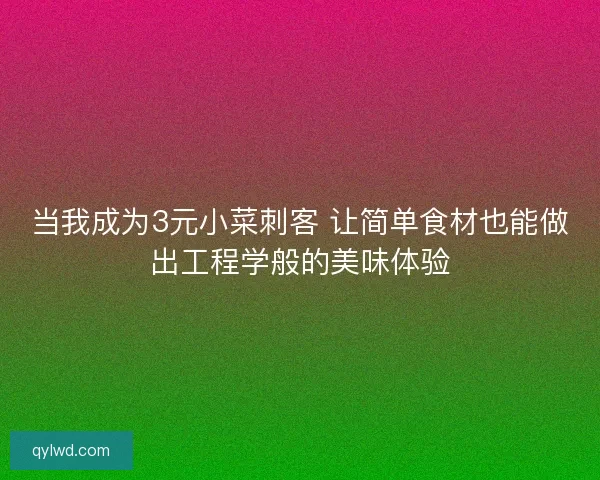 当我成为3元小菜刺客 让简单食材也能做出工程学般的美味体验